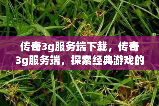 传奇3g服务端下载,传奇3g服务端,探索经典游戏的深度与广度 传奇3g服务端下载,传奇3g服务端,探索经典游戏的深度与广度