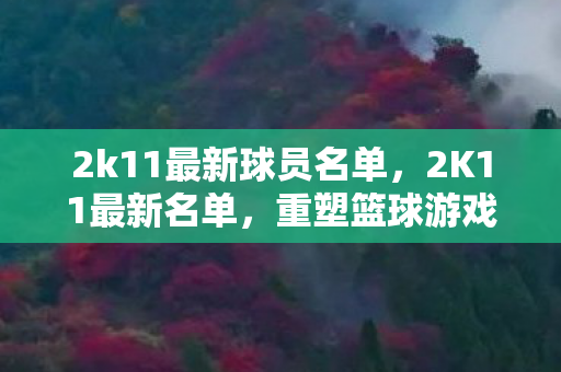 2k11最新球员名单，2K11最新名单，重塑篮球游戏的经典阵容