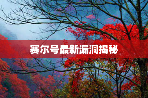 赛尔号最新漏洞揭秘 赛尔号最新漏洞揭秘