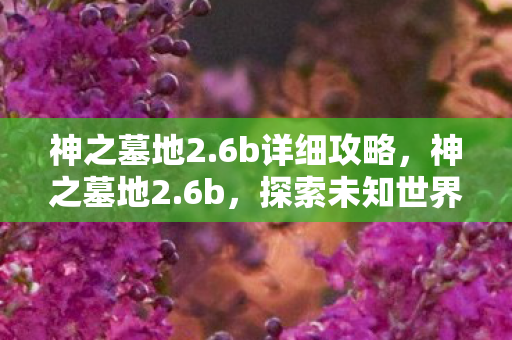 神之墓地2.6b详细攻略,神之墓地2.6b,探索未知世界的奇幻之旅 神之墓地2.6b详细攻略,神之墓地2.6b,探索未知世界的奇幻之旅