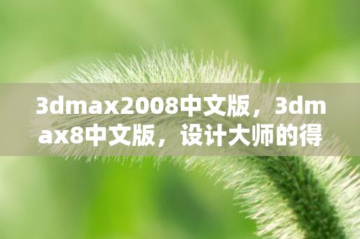 3dmax2008中文版,3dmax8中文版,设计大师的得力助手 3dmax2008中文版,3dmax8中文版,设计大师的得力助手