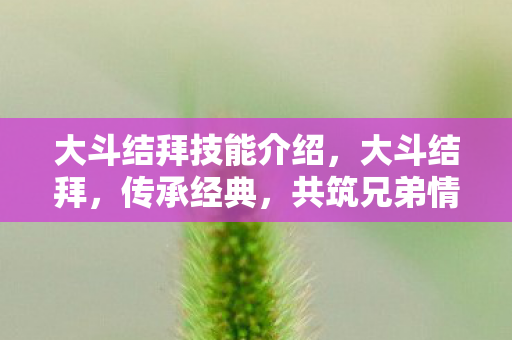 大斗结拜技能介绍,大斗结拜,传承经典,共筑兄弟情 大斗结拜技能介绍,大斗结拜,传承经典,共筑兄弟情