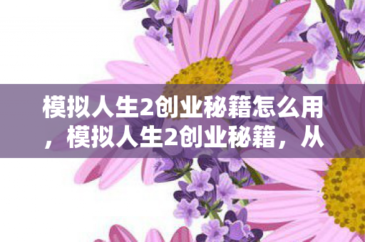 模拟人生2创业秘籍怎么用,模拟人生2创业秘籍,从零到一的创业之路 模拟人生2创业秘籍怎么用,模拟人生2创业秘籍,从零到一的创业之路