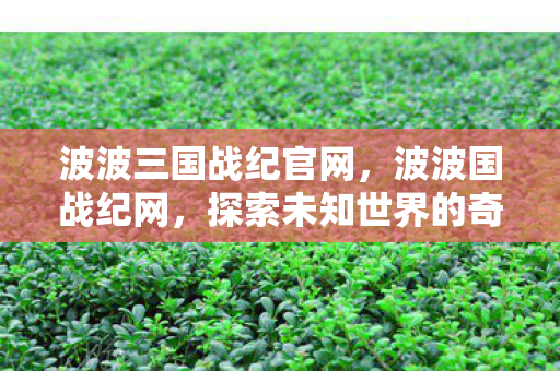 波波三国战纪官网,波波国战纪网,探索未知世界的奇幻之旅 波波三国战纪官网,波波国战纪网,探索未知世界的奇幻之旅