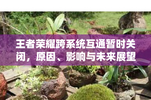 王者荣耀跨系统互通暂时关闭,原因、影响与未来展望 王者荣耀跨系统互通暂时关闭,原因、影响与未来展望