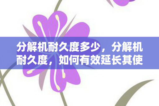 分解机耐久度多少,分解机耐久度,如何有效延长其使用寿命 分解机耐久度多少,分解机耐久度,如何有效延长其使用寿命