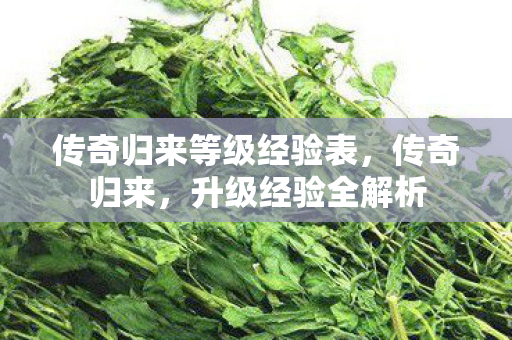 传奇归来等级经验表,传奇归来,升级经验全解析 传奇归来等级经验表,传奇归来,升级经验全解析