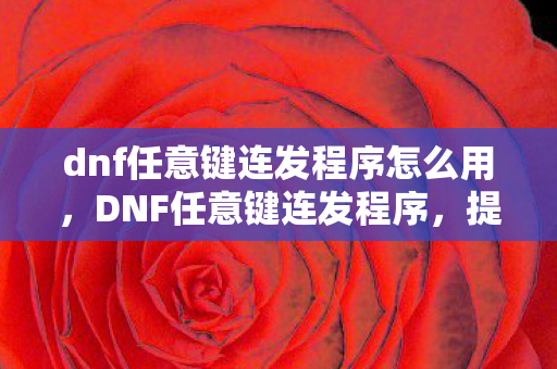 dnf任意键连发程序怎么用,DNF任意键连发程序,提升游戏体验的利器 dnf任意键连发程序怎么用,DNF任意键连发程序,提升游戏体验的利器