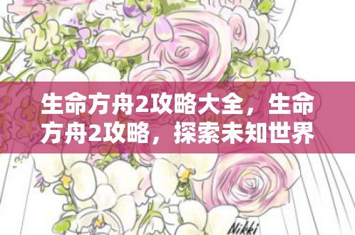 生命方舟2攻略大全，生命方舟2攻略，探索未知世界的全面指南