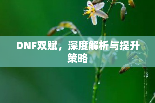 DNF双赋,深度解析与提升策略 DNF双赋,深度解析与提升策略