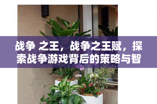 战争 之王,战争之王赋,探索战争游戏背后的策略与智慧 战争 之王,战争之王赋,探索战争游戏背后的策略与智慧