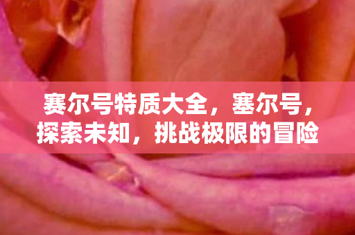 赛尔号特质大全,塞尔号,探索未知,挑战极限的冒险之旅 赛尔号特质大全,塞尔号,探索未知,挑战极限的冒险之旅