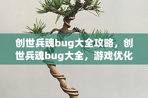 创世兵魂bug大全攻略，创世兵魂bug大全，游戏优化与玩家体验的深度剖析