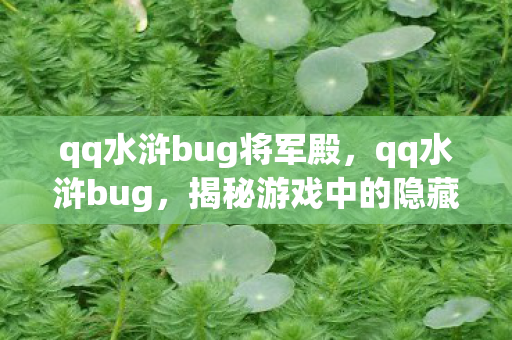 qq水浒bug将军殿,qq水浒bug,揭秘游戏中的隐藏漏洞与玩家应对策略 qq水浒bug将军殿,qq水浒bug,揭秘游戏中的隐藏漏洞与玩家应对策略