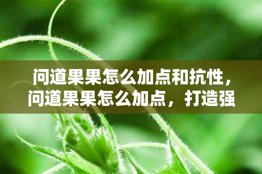 问道果果怎么加点和抗性,问道果果怎么加点,打造强力角色的加点策略 问道果果怎么加点和抗性,问道果果怎么加点,打造强力角色的加点策略