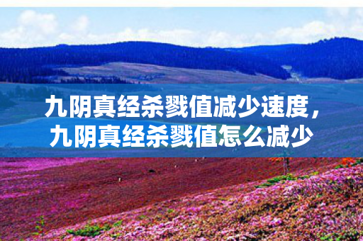 九阴真经杀戮值减少速度,九阴真经杀戮值怎么减少 九阴真经杀戮值减少速度,九阴真经杀戮值怎么减少