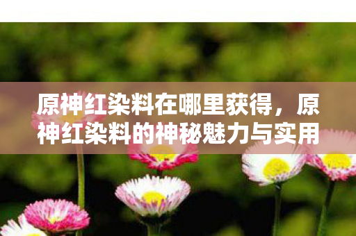 原神红染料在哪里获得,原神红染料的神秘魅力与实用指南 原神红染料在哪里获得,原神红染料的神秘魅力与实用指南