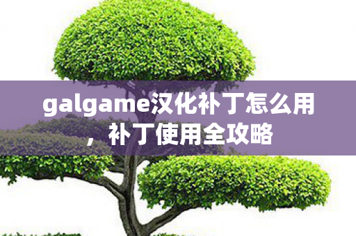 galgame汉化补丁怎么用,补丁使用全攻略 galgame汉化补丁怎么用,补丁使用全攻略
