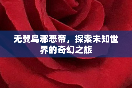 无翼鸟邪恶帝，探索未知世界的奇幻之旅