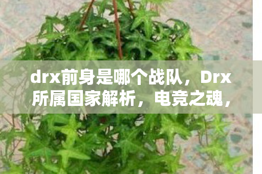 drx前身是哪个战队，Drx所属国家解析，电竞之魂，跨越国界的荣耀