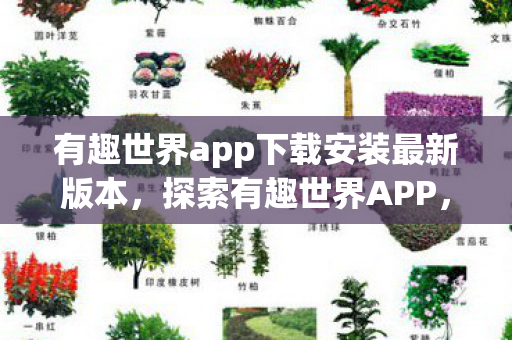 有趣世界app下载安装最新版本，探索有趣世界APP，下载、安装与奇妙体验全解析