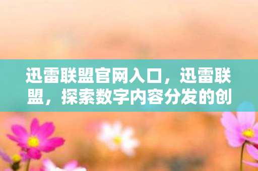 迅雷联盟官网入口，迅雷联盟，探索数字内容分发的创新之路