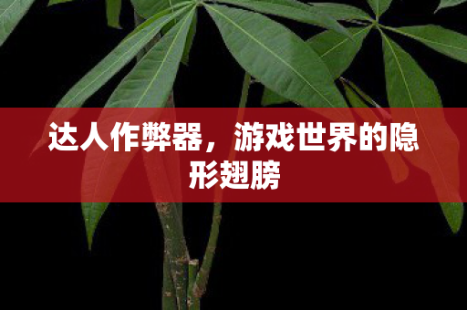 达人作弊器，游戏世界的隐形翅膀