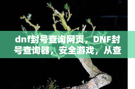 dnf封号查询网页,DNF封号查询器,安全游戏,从查询开始 dnf封号查询网页,DNF封号查询器,安全游戏,从查询开始