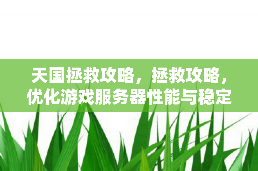 天国拯救攻略，拯救攻略，优化游戏服务器性能与稳定性