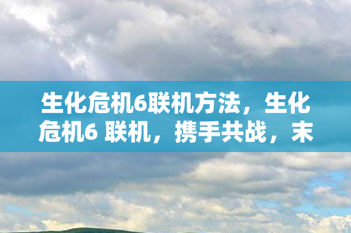 生化危机6联机方法,生化危机6 联机,携手共战,末日求生 生化危机6联机方法,生化危机6 联机,携手共战,末日求生