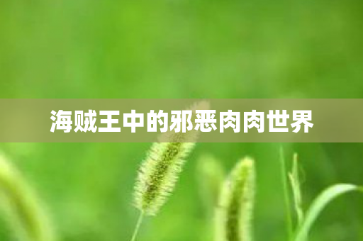 海贼王中的邪恶肉肉世界 海贼王中的邪恶肉肉世界