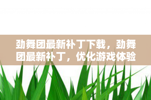 劲舞团最新补丁下载，劲舞团最新补丁，优化游戏体验，提升游戏性能