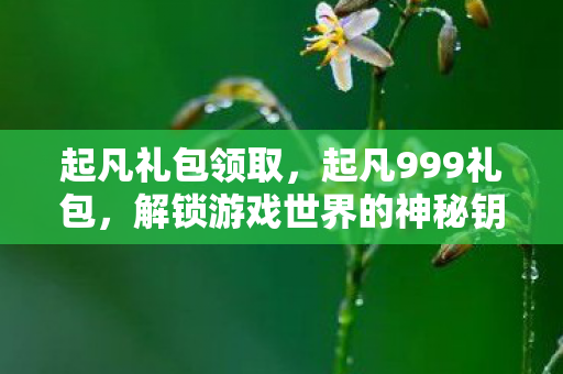 起凡礼包领取，起凡999礼包，解锁游戏世界的神秘钥匙
