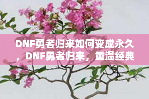 DNF勇者归来如何变成永久，DNF勇者归来，重温经典，再战阿拉德