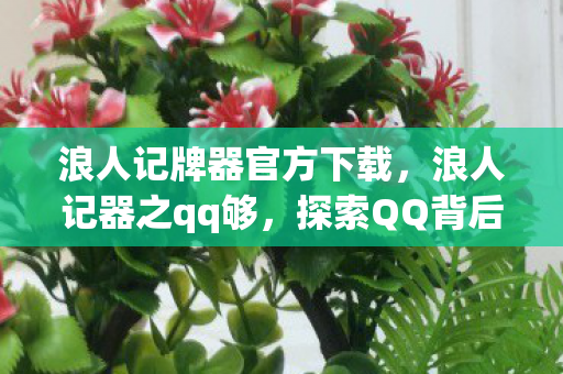 浪人记牌器官方下载，浪人记器之qq够，探索QQ背后的数字世界