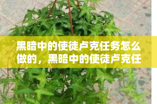 黑暗中的使徒卢克任务怎么做的，黑暗中的使徒卢克任务攻略