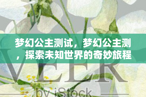梦幻公主测试，梦幻公主测，探索未知世界的奇妙旅程