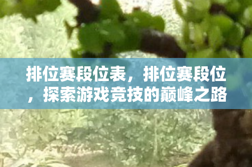排位赛段位表，排位赛段位，探索游戏竞技的巅峰之路