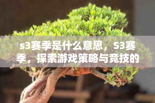 s3赛季是什么意思，S3赛季，探索游戏策略与竞技的无限可能