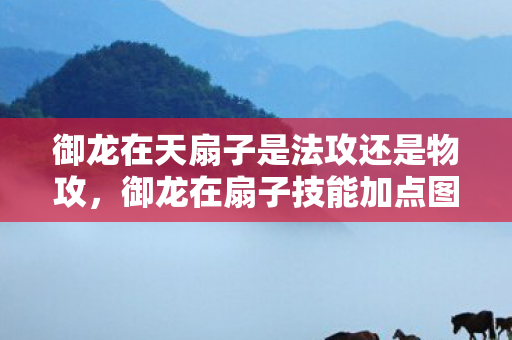 御龙在天扇子是法攻还是物攻，御龙在扇子技能加点图，策略与效率的完美结合