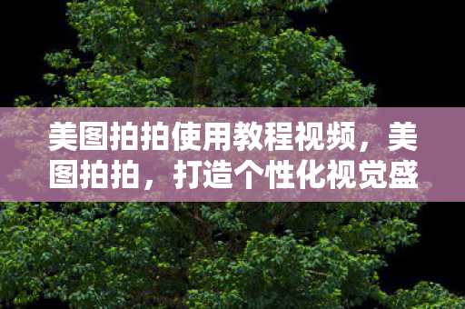 美图拍拍使用教程视频，美图拍拍，打造个性化视觉盛宴的必备神器