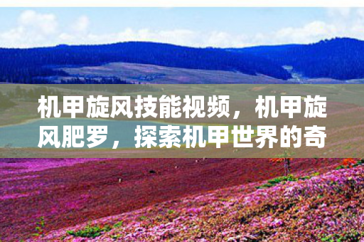 机甲旋风技能视频，机甲旋风肥罗，探索机甲世界的奇妙之旅