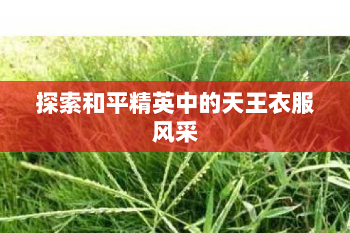 探索和平精英中的天王衣服风采 探索和平精英中的天王衣服风采