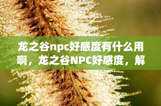 龙之谷npc好感度有什么用啊，龙之谷NPC好感度，解锁隐藏福利与游戏乐趣的钥匙