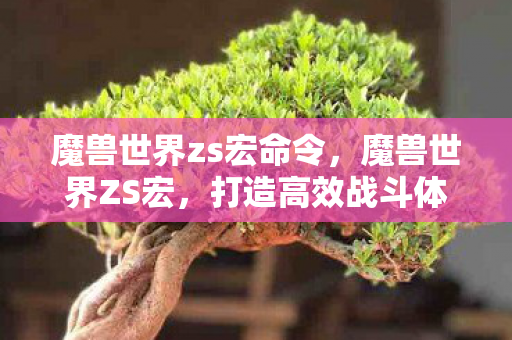 魔兽世界zs宏命令，魔兽世界ZS宏，打造高效战斗体验