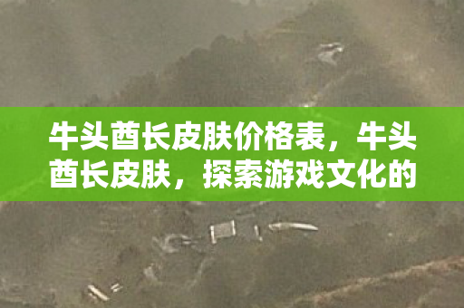 牛头酋长皮肤价格表，牛头酋长皮肤，探索游戏文化的独特魅力