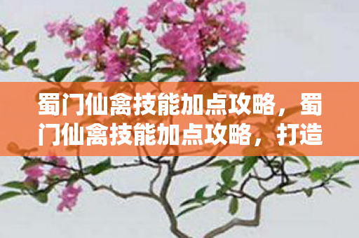 蜀门仙禽技能加点攻略，蜀门仙禽技能加点攻略，打造高效战斗力的关键