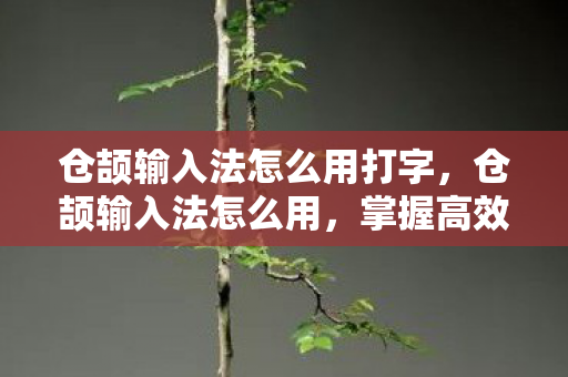 仓颉输入法怎么用打字，仓颉输入法怎么用，掌握高效输入技巧