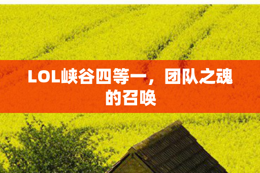 LOL峡谷四等一,团队之魂的召唤 LOL峡谷四等一,团队之魂的召唤