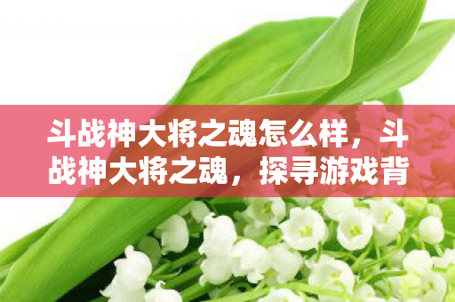斗战神大将之魂怎么样，斗战神大将之魂，探寻游戏背后的精神与传承